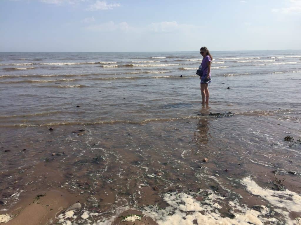 Walking in the waters of Dunster Beach - The Places Where We Go podcast