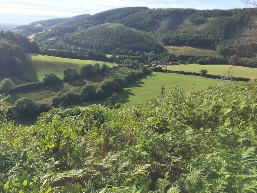 View point at Exmoor National Park near Dunster 