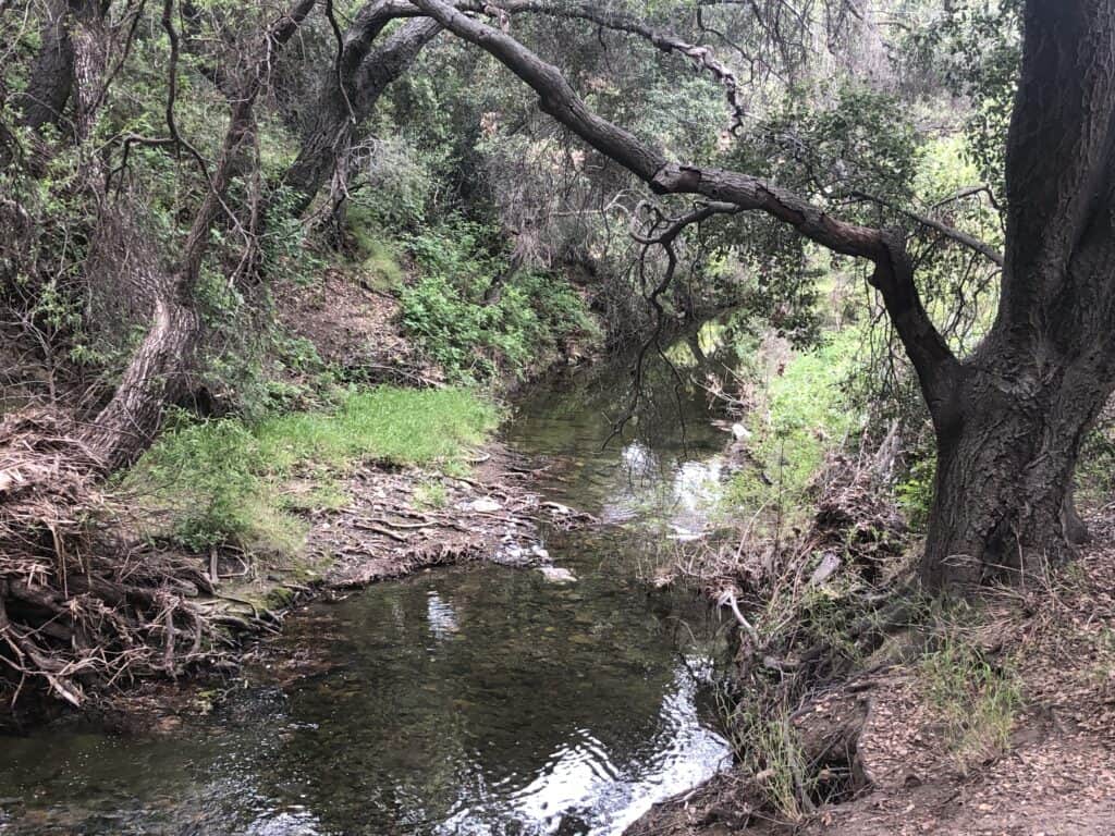 A stream at Wildwood Park in Thousand Oaks, CA.