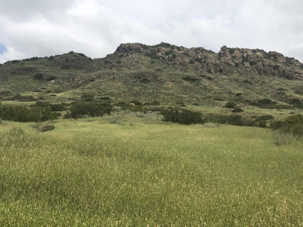 View of hillside at Wildwood Regional Park, Thousand Oaks, CA