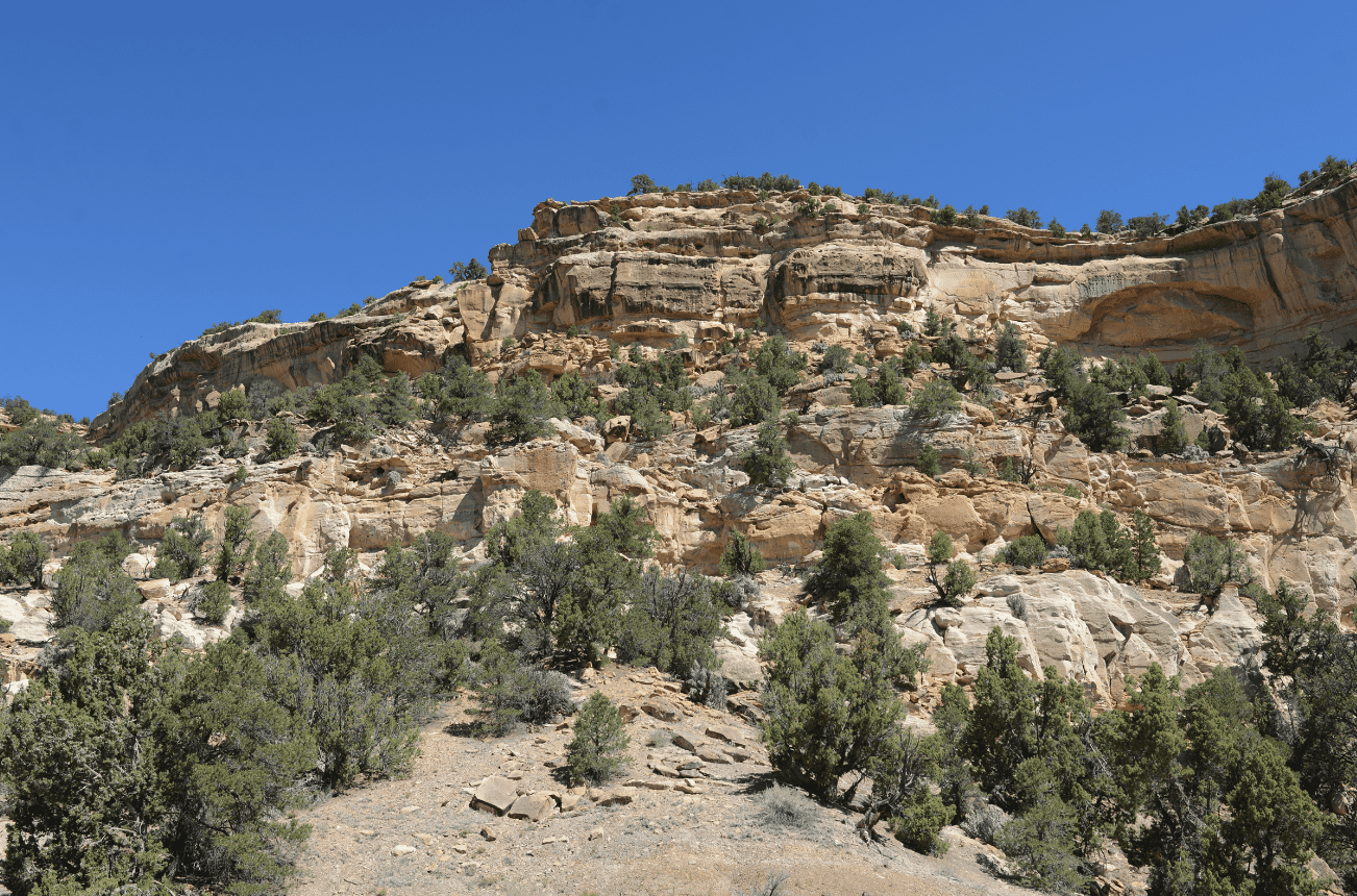 Landscape in Grand Staircase-Escalante National Monument