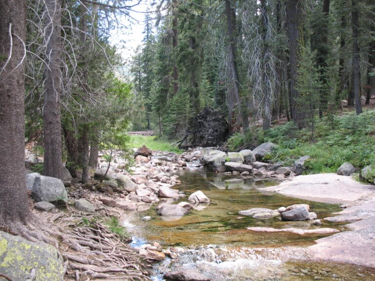 Sequoia National Park