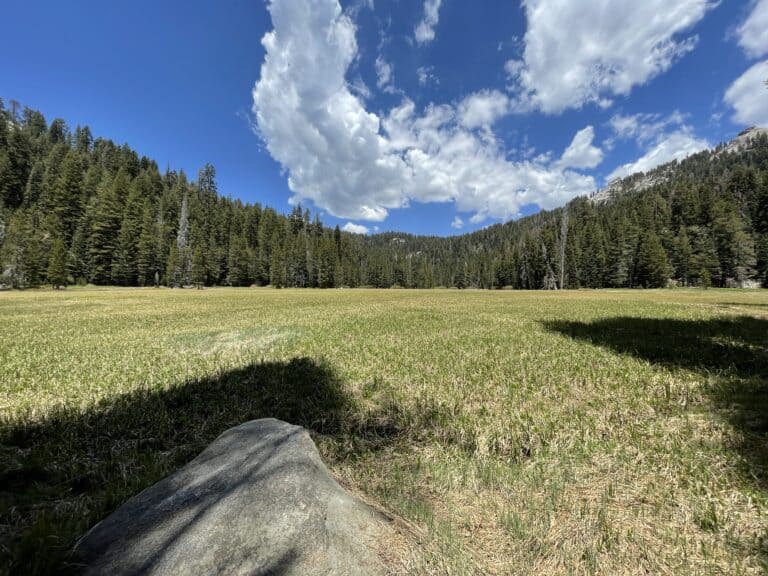 Cahoon Meadow, Sequoia National Park