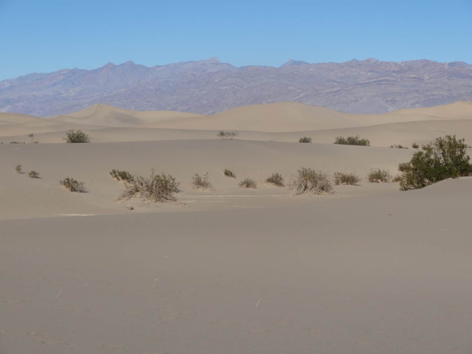 6 Awesome Death Valley Sand Dunes - Your Complete Guide