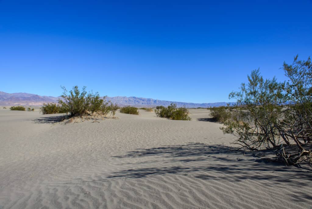 Mesquite Sand Dunes in Death Valley National Park - photo by www.theplaceswherewego.com