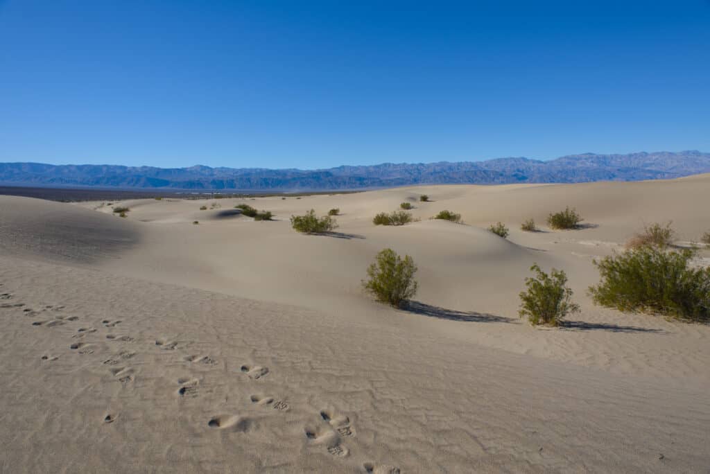 Mesquite Flat Sand Dunes in Death Valley National Park - photo by https://theplaceswherewego.com/