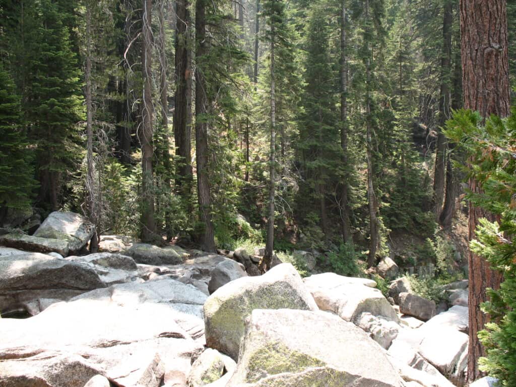 Sequoia National Park - Lodgepole area - photo by www.theplaceswherewego.com