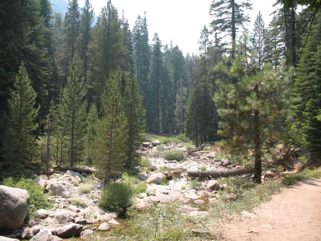 Sequoia National Park - photo by www.theplaceswherewego.com