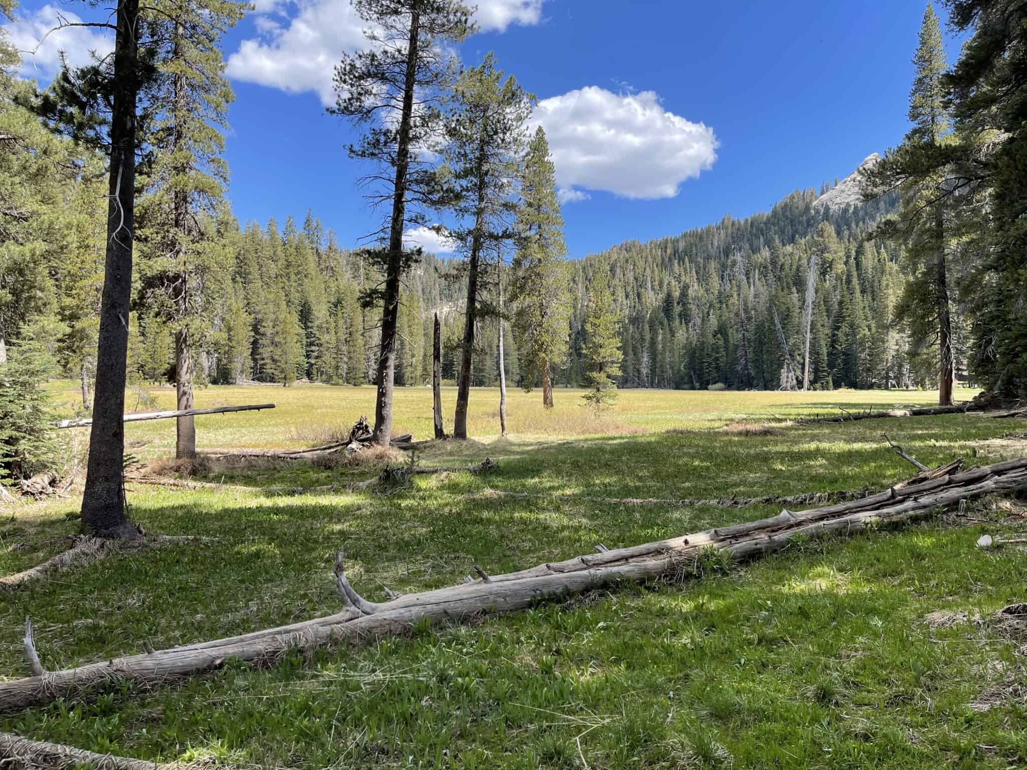 2024 Best Campground In Sequoia National Park Guide   IMG 9209 2048x1536 