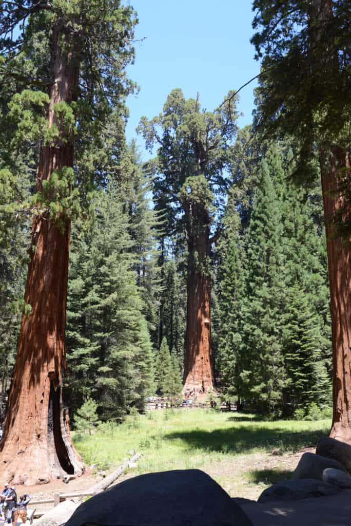 General Sherman Tree - Sequoia National Park