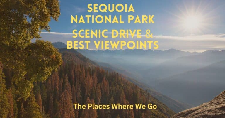 Sequoia National Park Scenic Drive & Best Viewpoints in 2024
