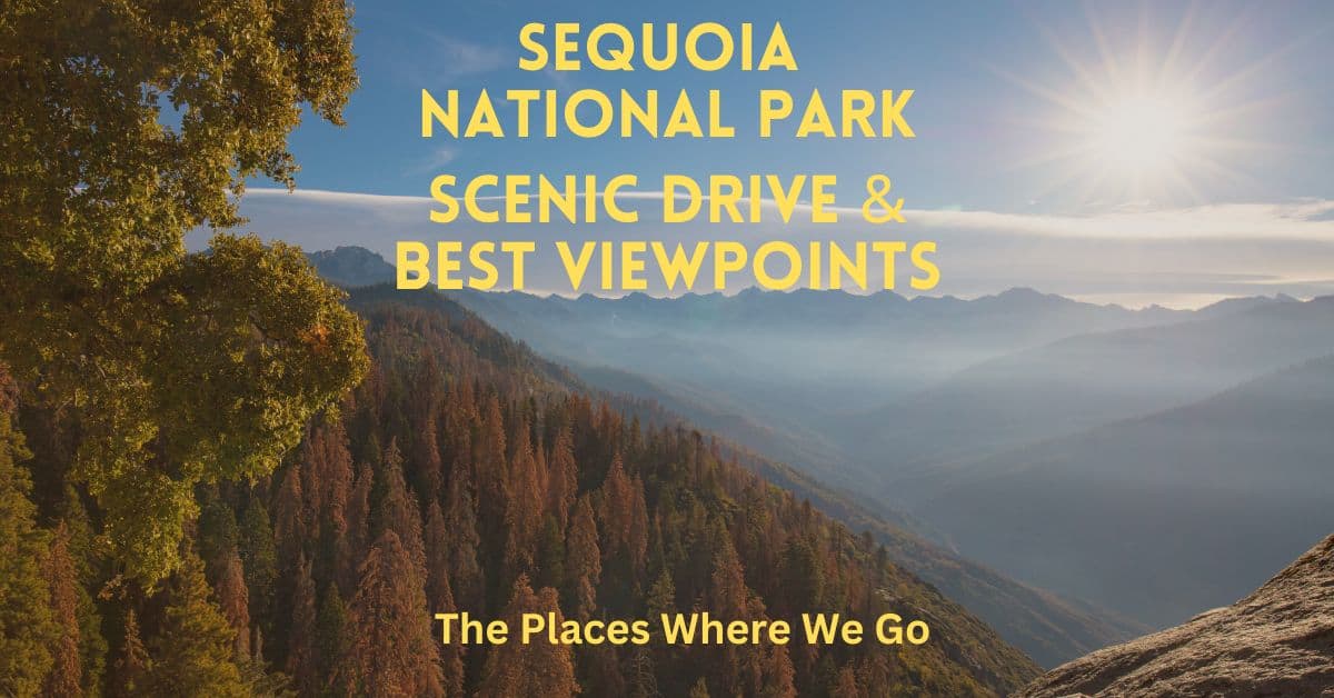 Sequoia National Park scenic drive blog post cover