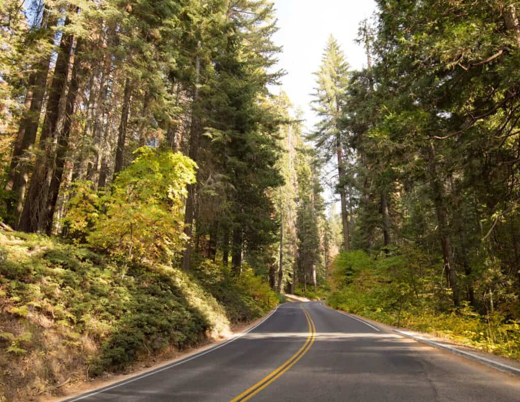 Sequoia National Park drive image