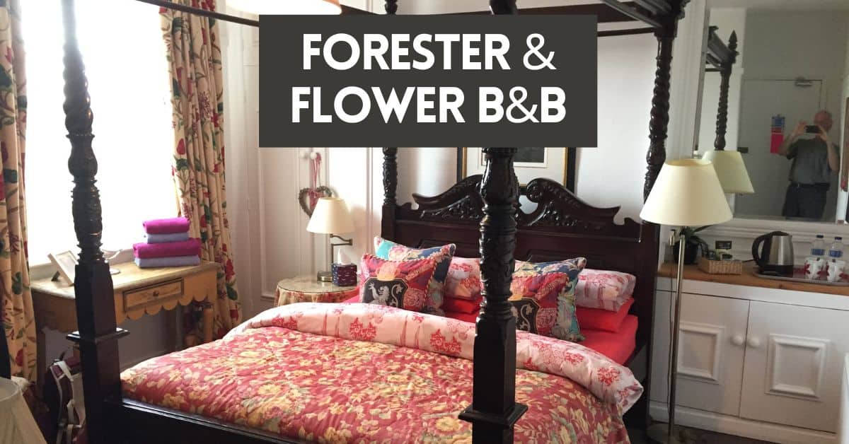 Forester and Flower B&B blog cover