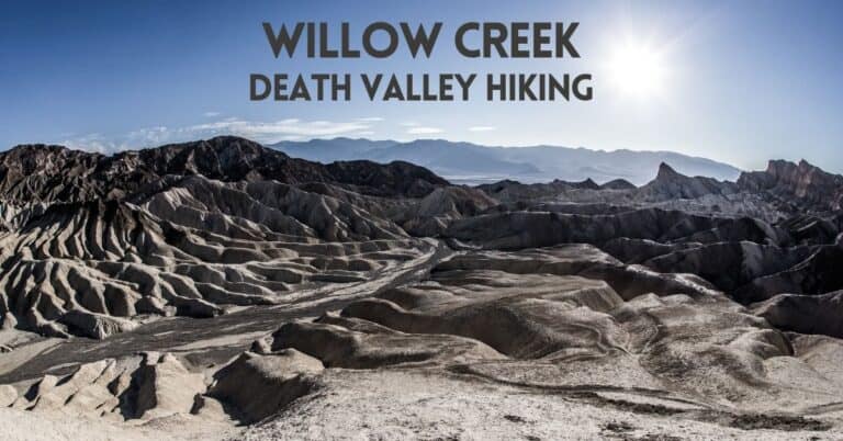 Discover the Hidden Beauty of Willow Creek in Death Valley 