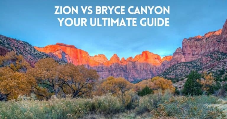 Zion vs. Bryce: Honest Comparison & Which Is Better 2024