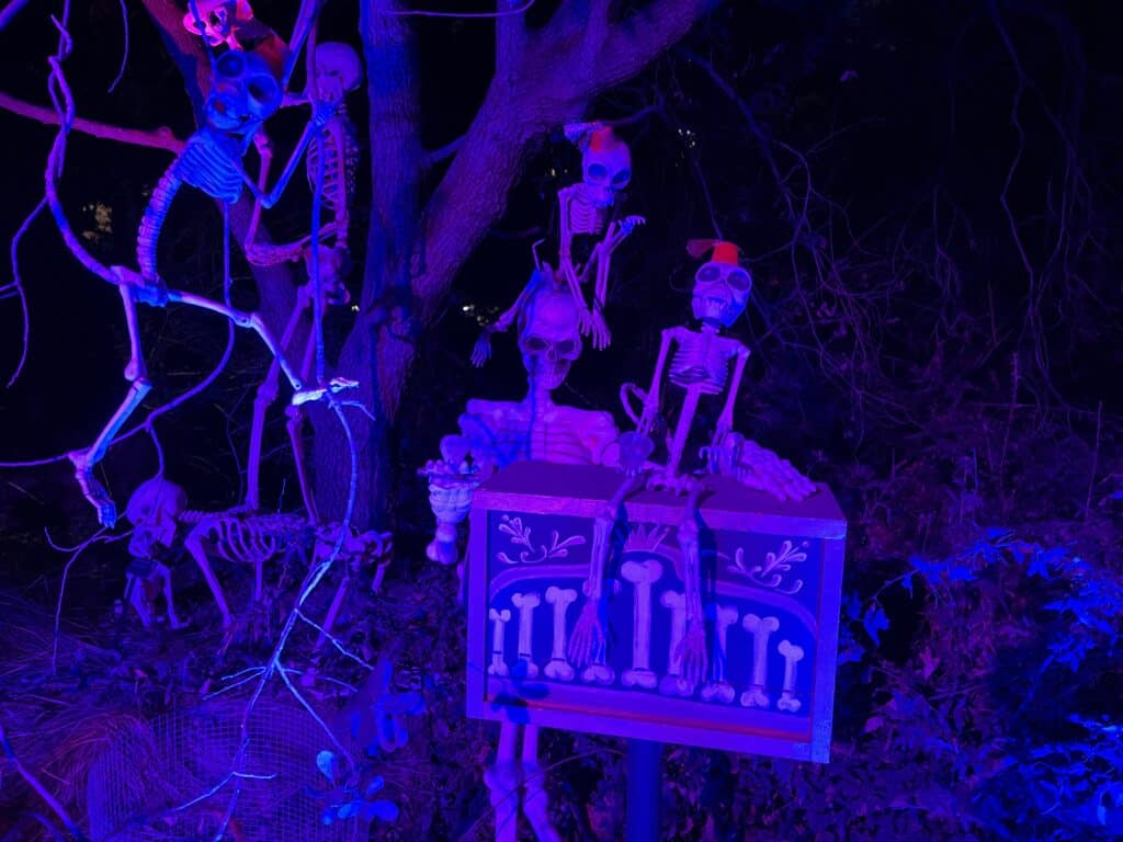 Skeletons at Boney Island at Natural History Museum of Los Angeles