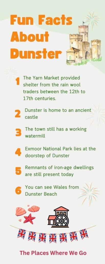 Dunster fun facts infographic