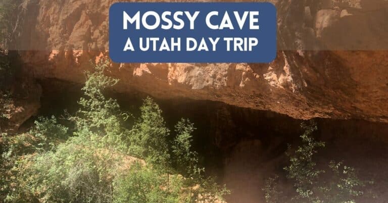 Escape to Mossy Cave: A Perfect Day Trip from Bryce Canyon National Park