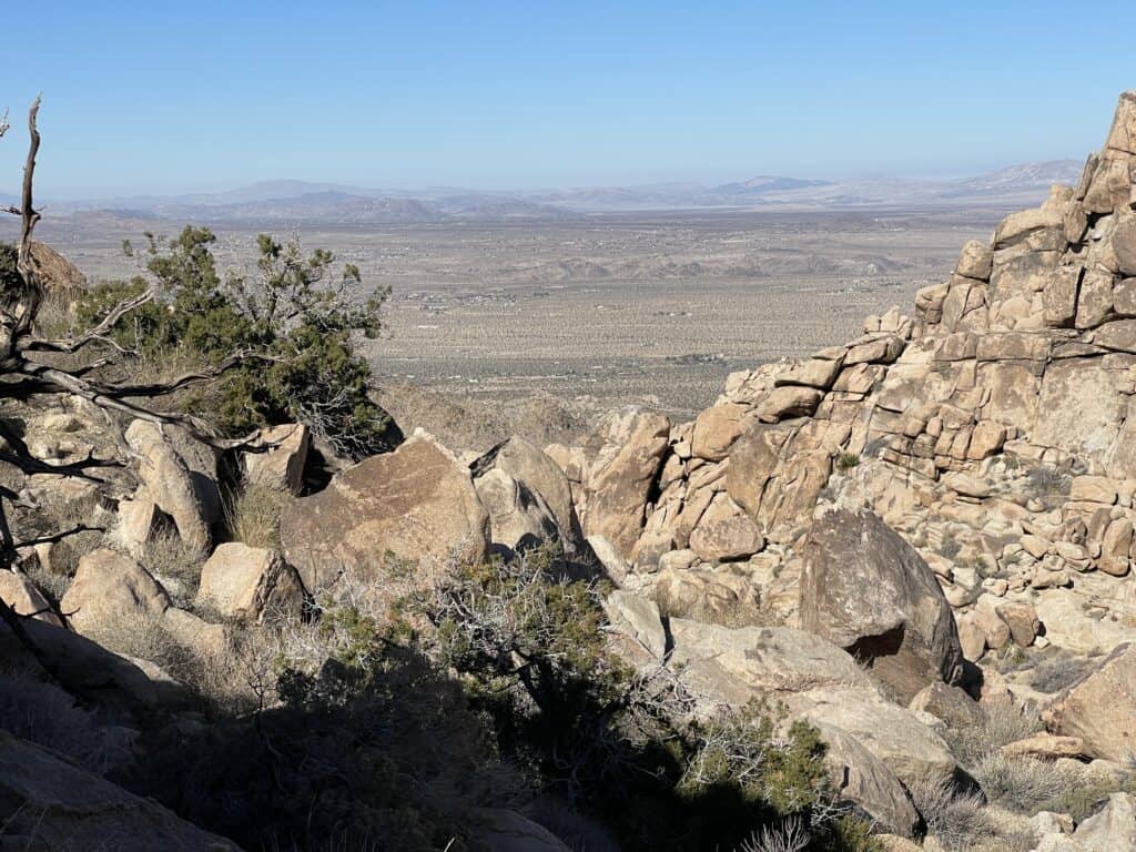 View from Maze Loop Trail at Joshua Tree National Park