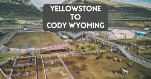 Yellowstone to Cody Wyoming blog post cover