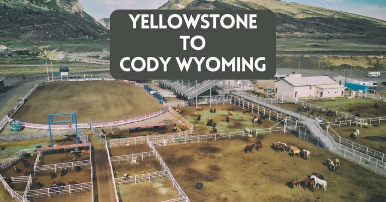 Yellowstone to Cody Wyoming – Impressive Western Beauty