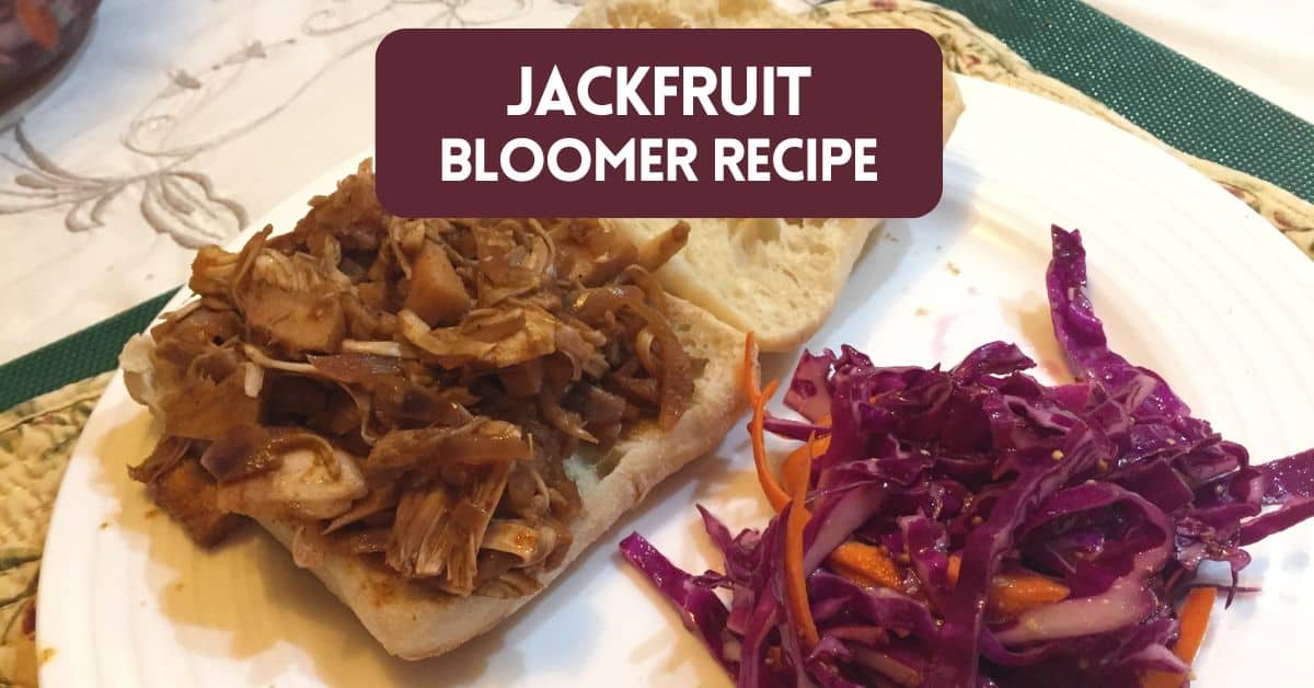 Cover image for Jackfruit Bloomer Recipe blog post