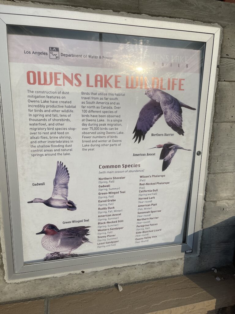 Wildlife sign at Owens Lake