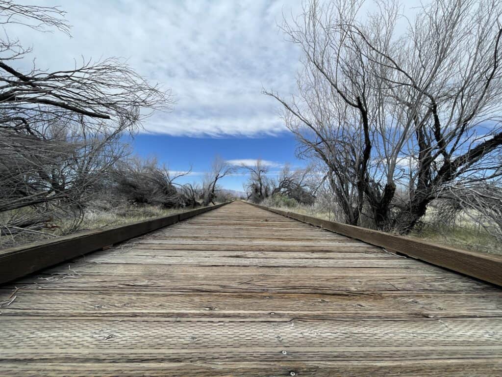 Crystal Boardwalk at Ash Meadows National Wildlife Refuge