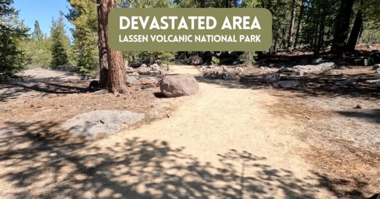 Blog cover image for article on Devastated Area in Lassen Volcanic National Park