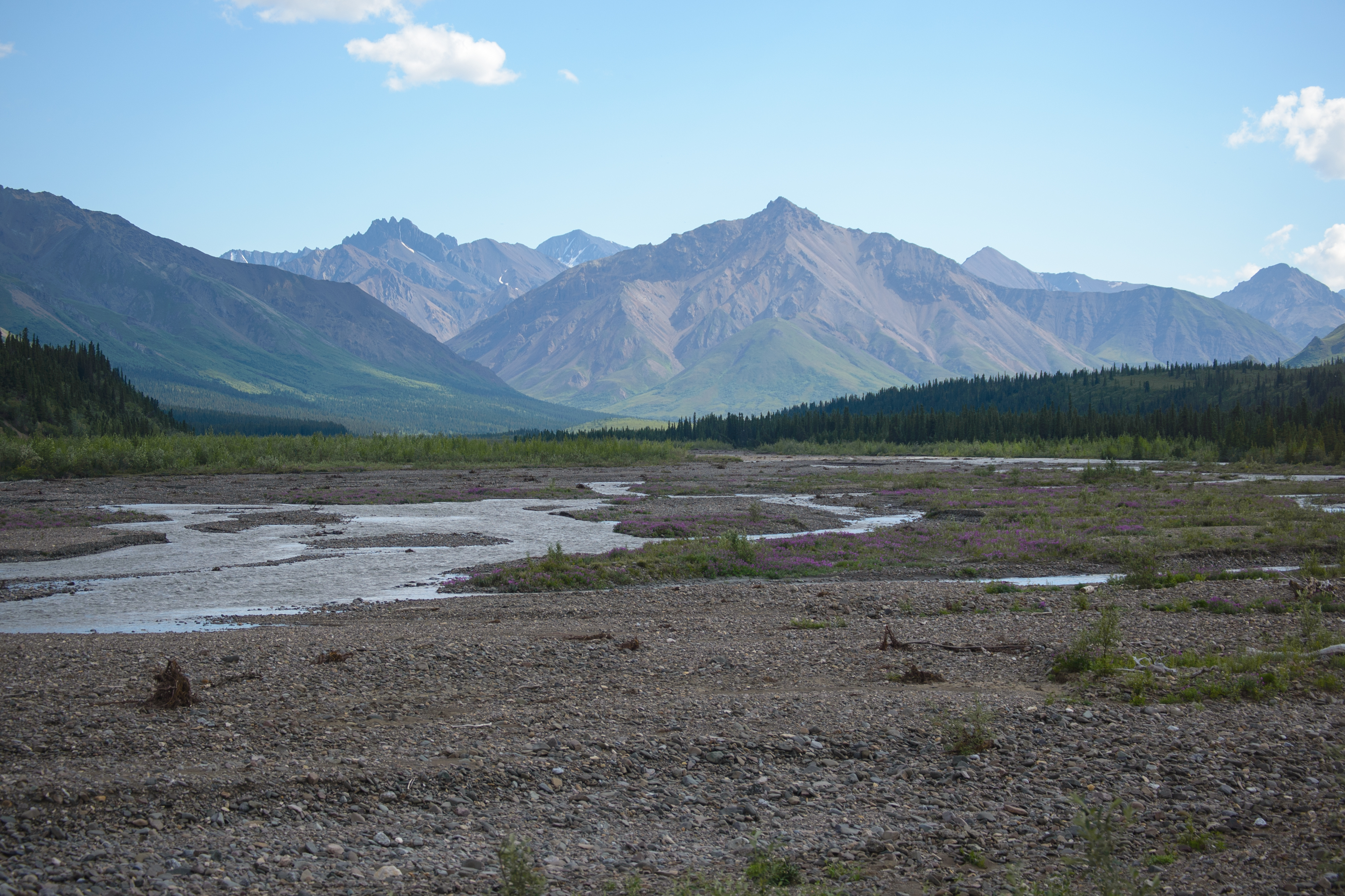 Vista at Denali National Park