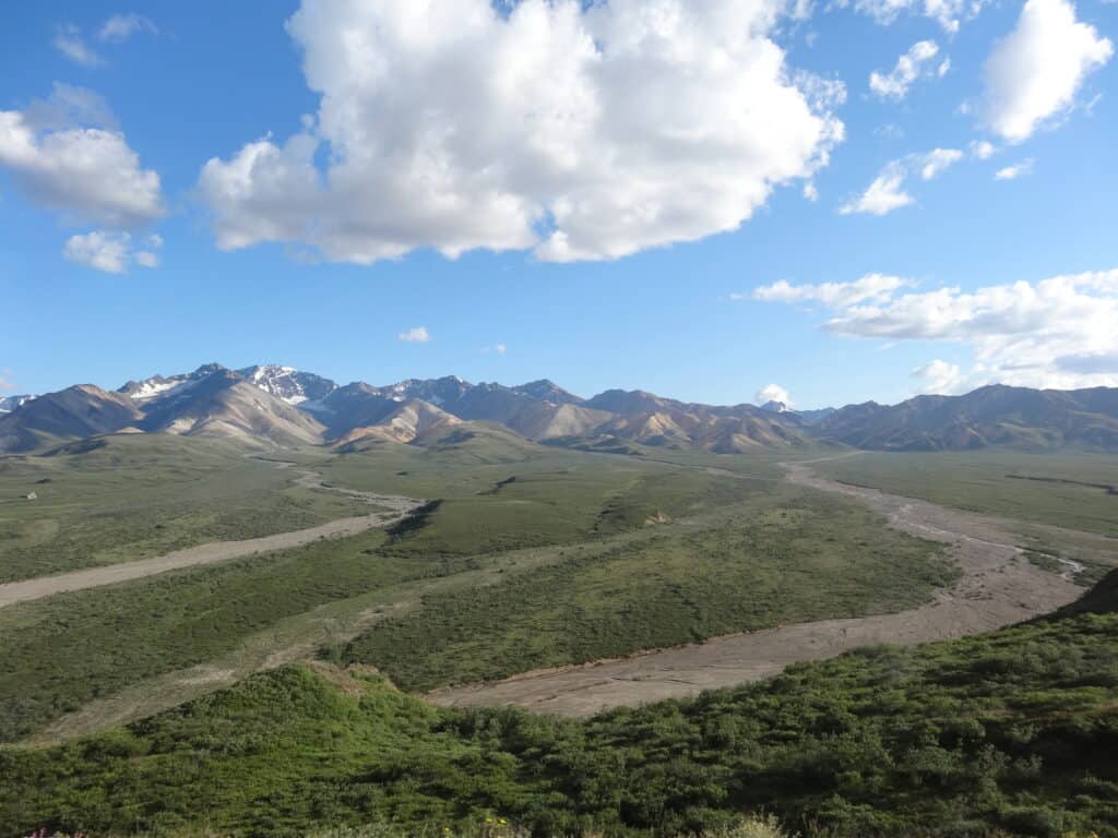 Vista at Denali National Park