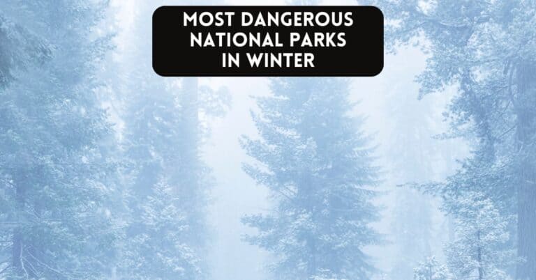 Blog post cover image for article about most dangerous national parks in winter