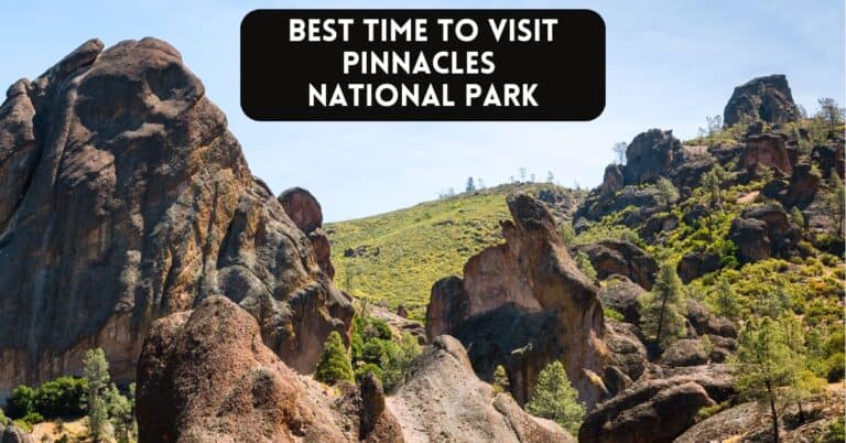 Blog post cover image for article about the best time to visit Pinnacles National Park