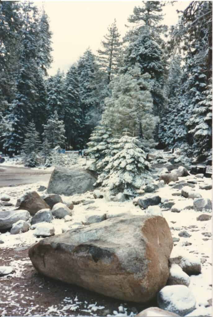 Winter at Sequoia National Park