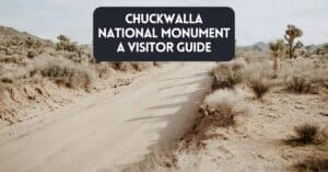 Blog post cover image for article about Chuckwalla National Monument visitors guide