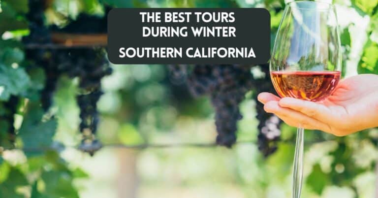 Blog post cover for article on the best winter tours in Southern California