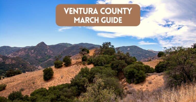 Blog post cover for article about things to do and events in Ventura County in March