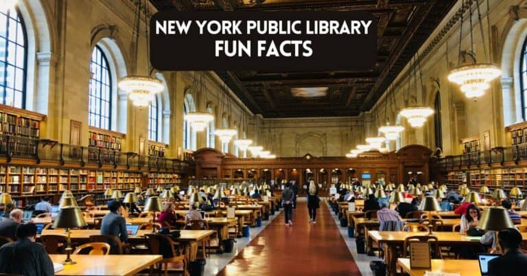 Cover image for blog post about New York Public Library fun facts