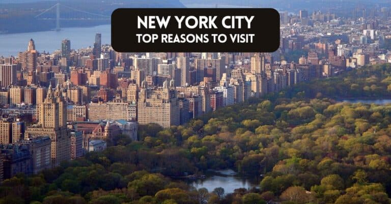 Cover image for blog post about top reasons to visit New York City