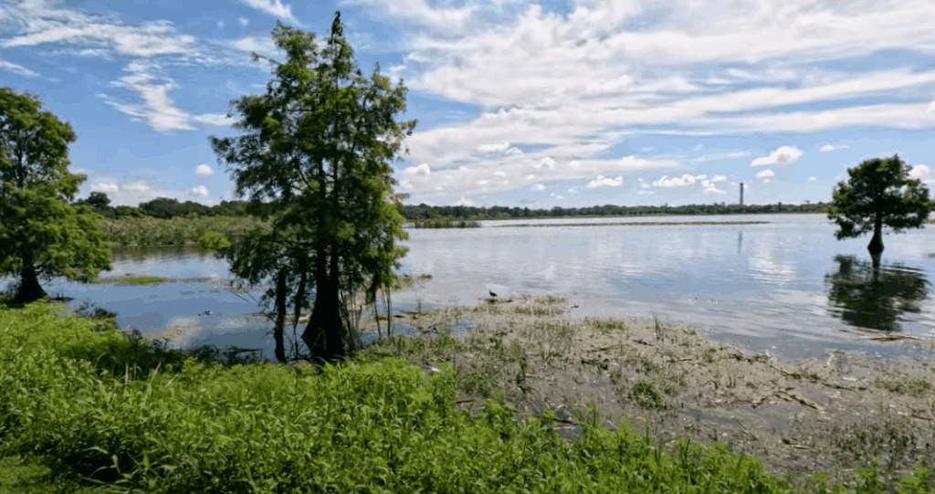 Lake Parker Florida