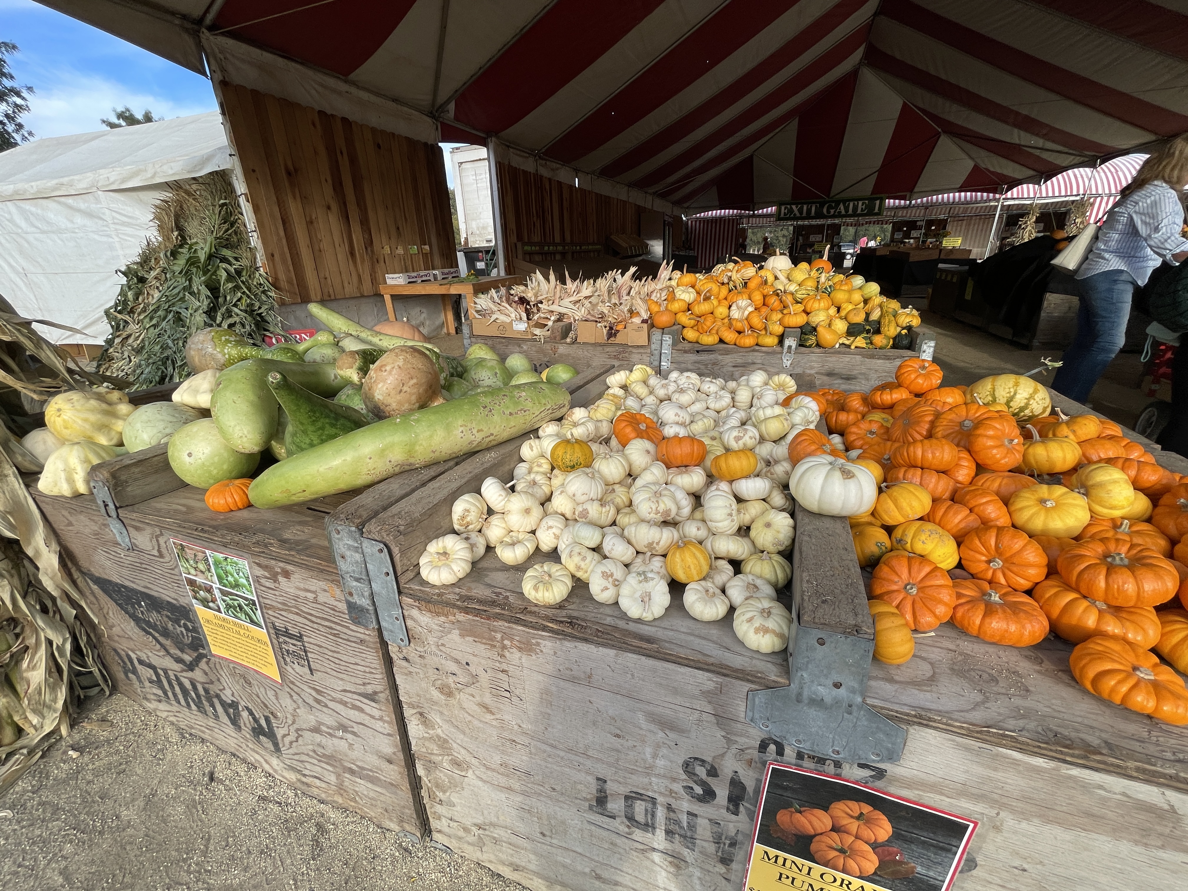 Display of vegetables at Underwood Family Farms in Moorpark CA