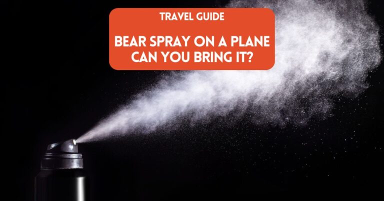 Cover image for blog post on article about can you bring bear spray on a plane