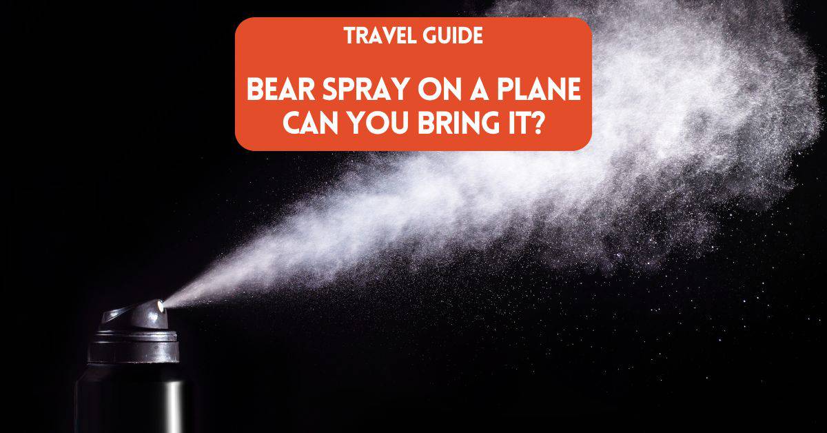 Cover image for blog post on article about can you bring bear spray on a plane