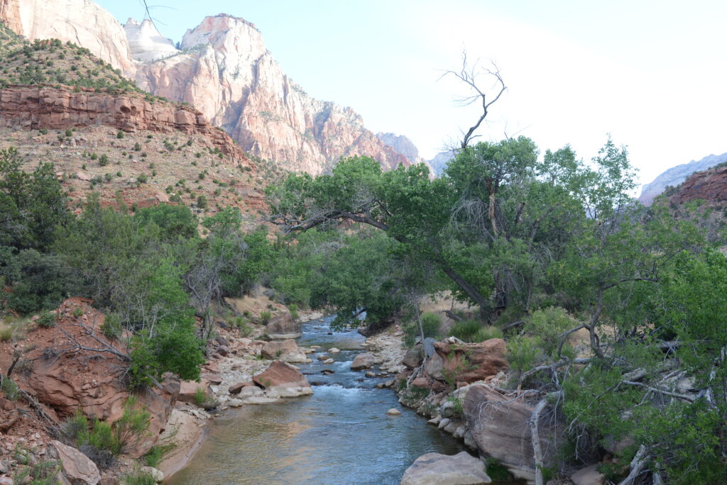 Virgin River in Zion National Park as seen from Pa'rus Trail