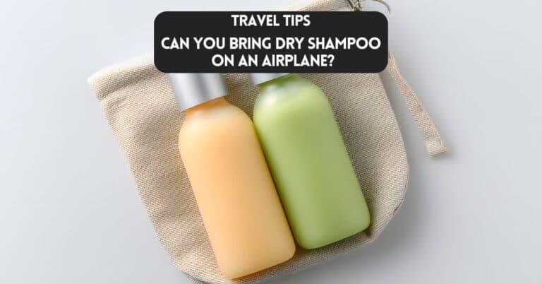 Cover image for blog post article about, "Can you bring dry shampoo on an airplane?"