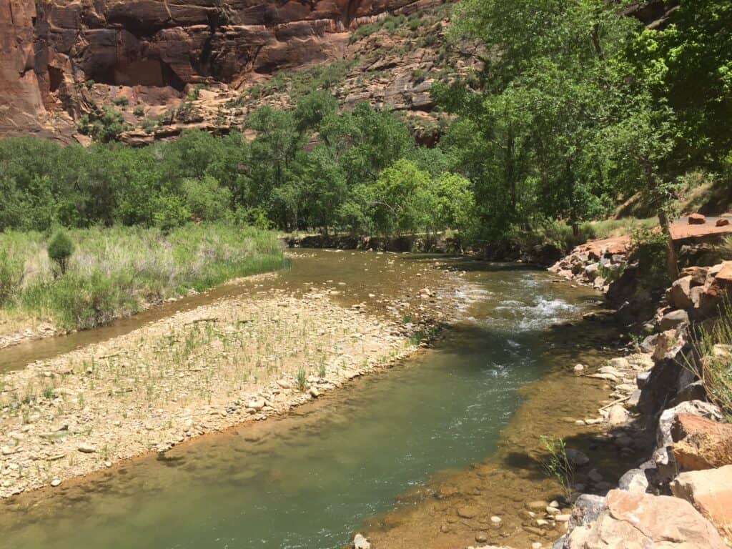 River view at Riverside Walk in Zion National Park