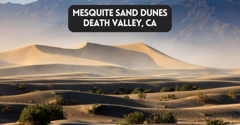 Cover image for blog post article about Mesquite Flat Sand Dunes Death Valley CA