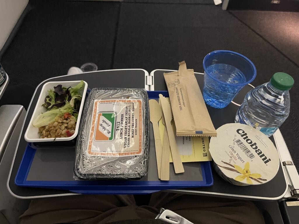 Tray of airline food with salad, vegan meal and yogurt and water bottle