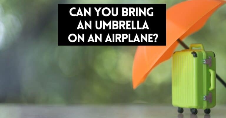 cover image for article about, can you bring an umbrella on an airplane